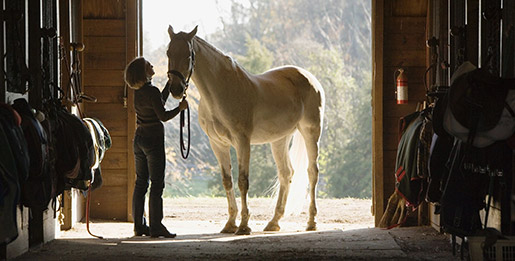California Gymkhana Association