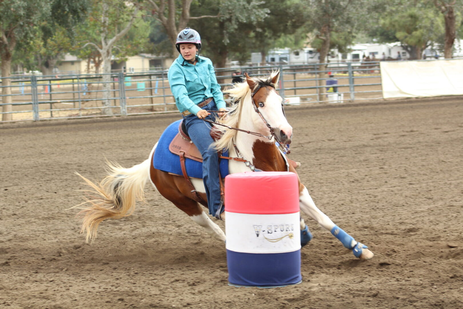 California Gymkhana Association